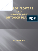 Types of Flowers and Plants