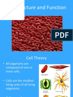 Cell Structure