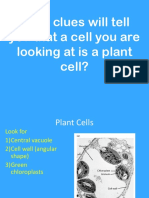 cell structure questions