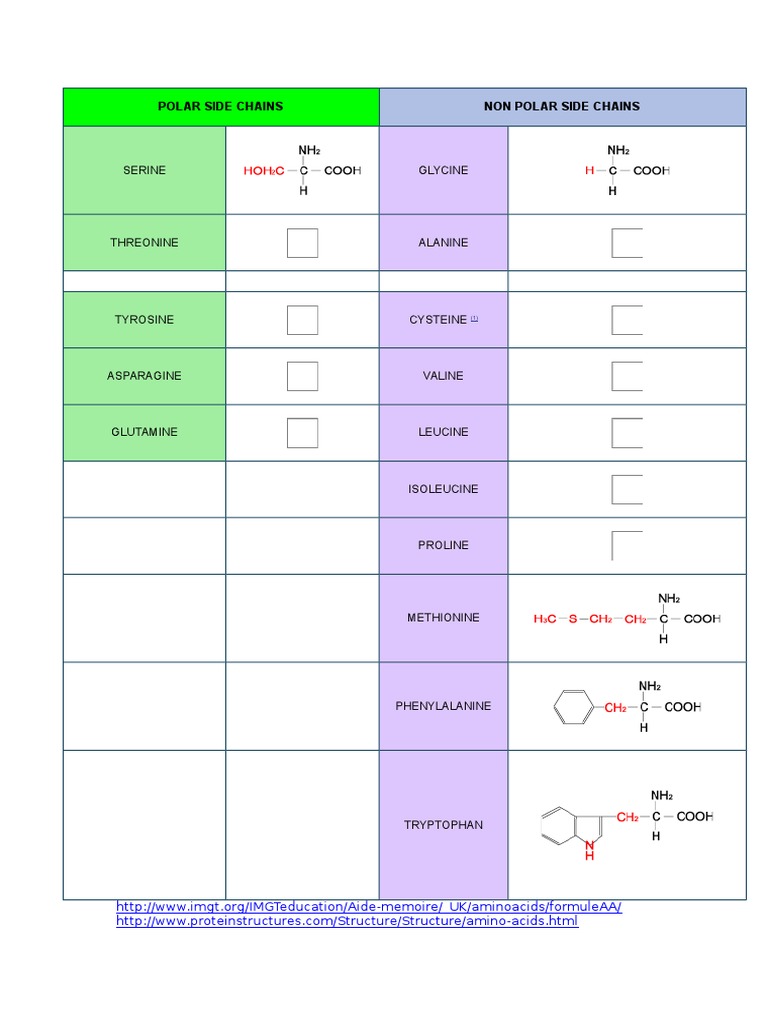 Polar Side Chains Non Polar Side Chains: Serine Glycine | PDF