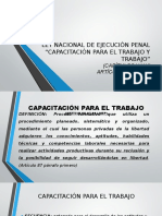 Presentacion Trabajo y Capacitacion Lnep)