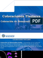 Wiener Clase 6 Histotecnologia Coloraciones Tisulares HE