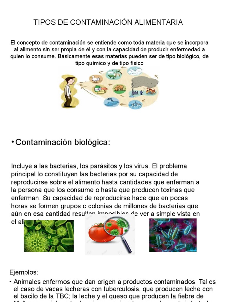 Tipos de Contaminación Alimentaria | PDF | Pesticida | Alimentos