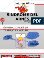 Síndrome Del Arnés
