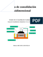 Prueba de Consolidación Unidimensional