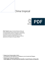 Clima Tropical PDF