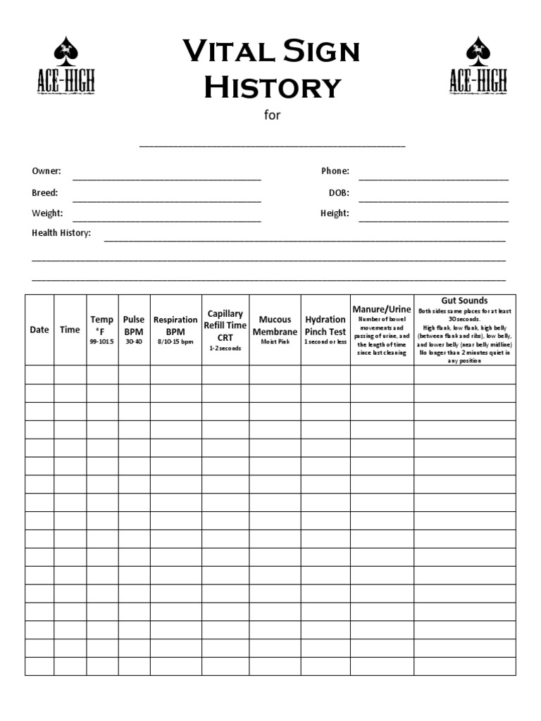 Equine Vital Signs Chart PDF