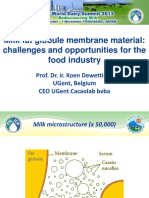 MFGM material challenges and opportunities in food industry