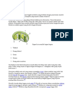 Anabolism 1