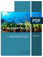 Prácticas de Laboratorio IV - Orden Alismatales (PDF)