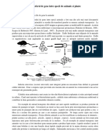 Transferul Specific de Gene