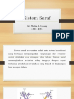 Sistem Saraf