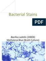 Bacterial Stains