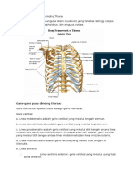 Musculus Dinding Thorax