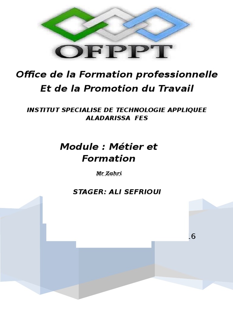 Rapport Metier Et Formation Tri Informatique Application