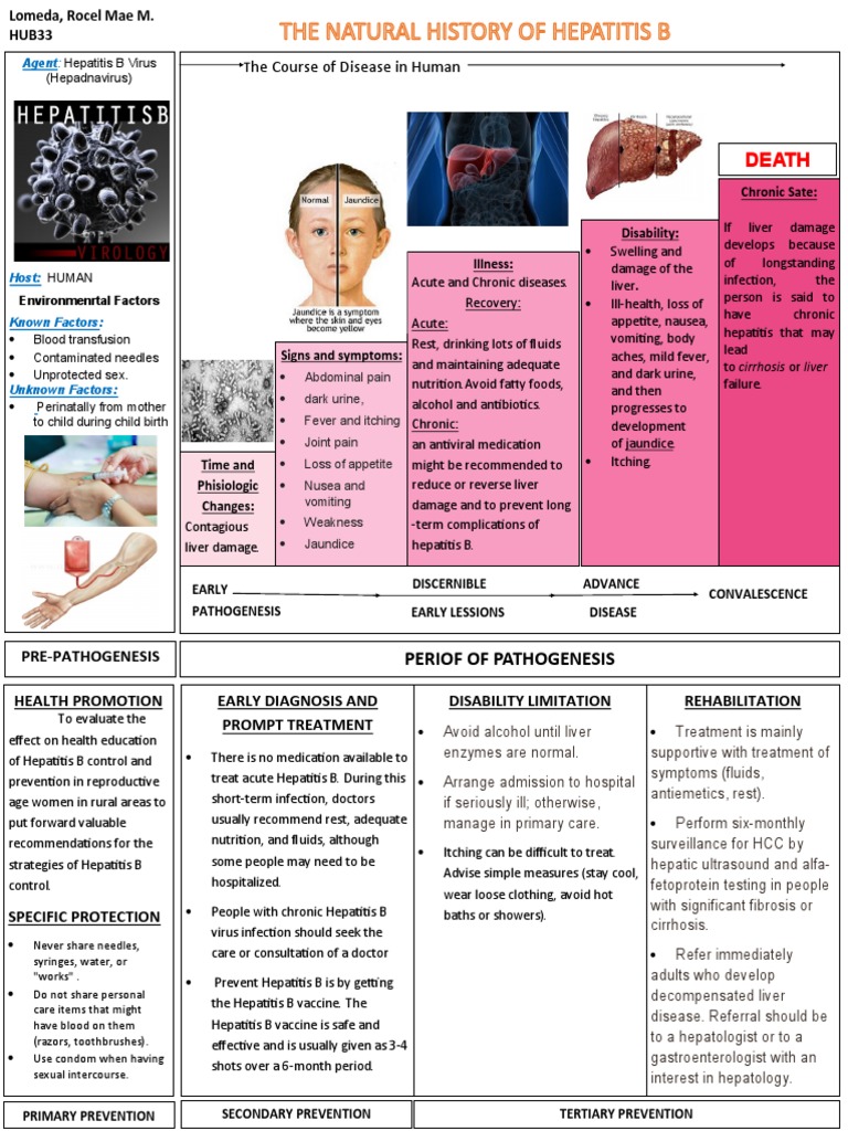 Natural History | PDF | Hepatitis | Hepatitis B