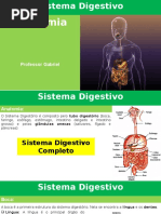 Sistema Digestório