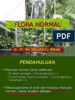 Flora Normal Dr Ali Shodikin
