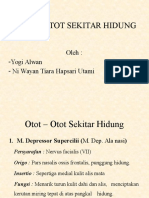 Otot - Otot Sekitar Hidung