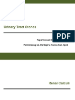 Urinary Tract Stones: Aditya Islami Kepaniteraan Klinik Ilmu Bedah Pembimbing: Dr. Rantapina Kurnia Sari, SP.B