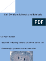 Zoo1 - 5 - Cell Division