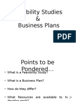 Feasibility Studies and Business Plans