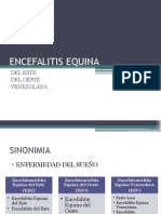  Encefalitis Equina 