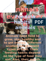 Animals Everywher E: Feeding Habits in Animals