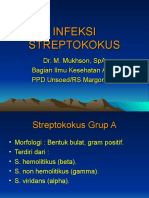 K25 - INFEKSI STREPTOKOKUS.ppt
