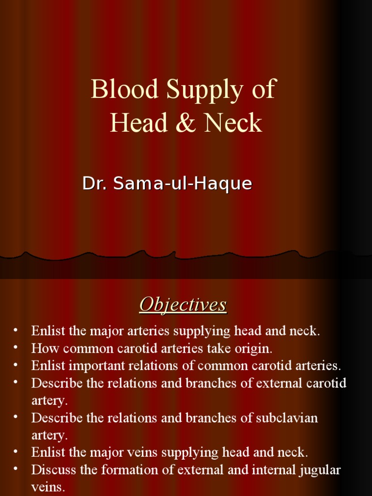 Blood Supply of Head and Neck Overview | PDF | Common Carotid Artery | Neck