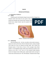 BAB II Tinjauan Pustaka