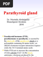 Parathyroid Gland