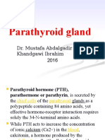 Parathyroid Gland: Dr. Mustafa Abdalgadir Khandgawi Ibrahim 2016