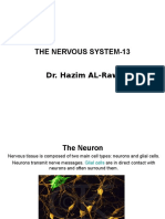 The Nervous System-13 Dr. Hazim AL-Rawi