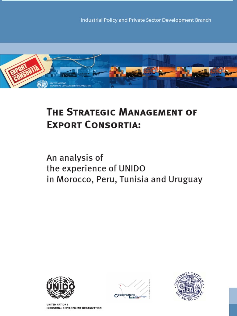 Strategic Management Export Consortia PDF Economics Business