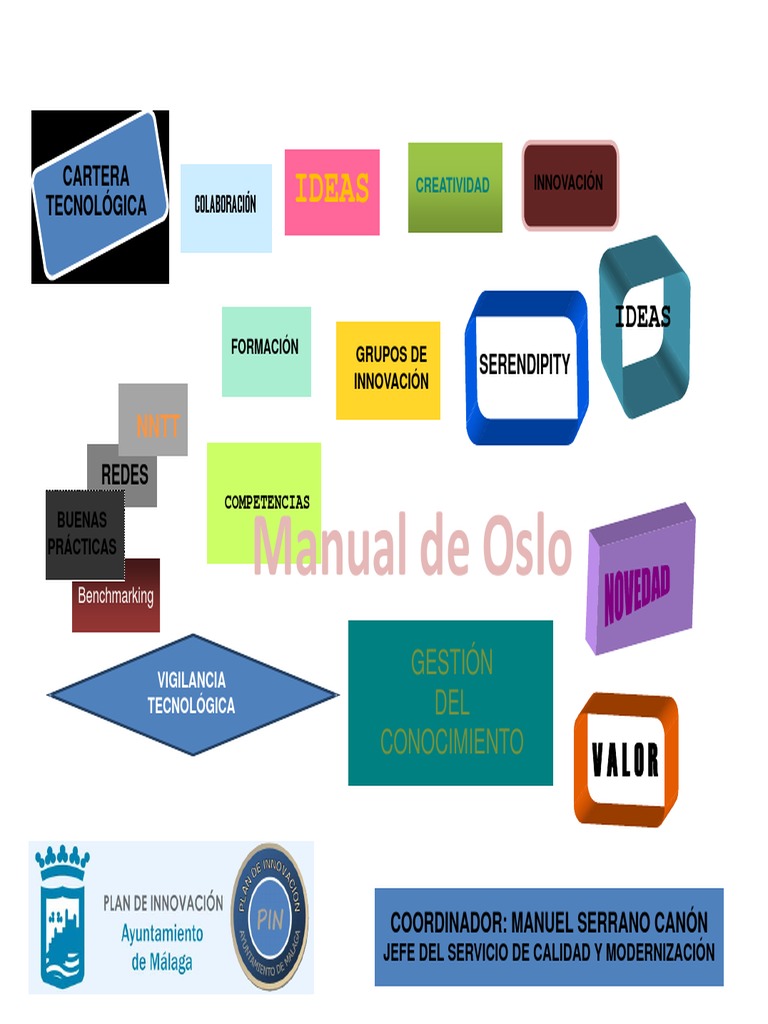 Manual de Oslo PDF | PDF