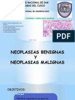 Neoplasias PPT 1