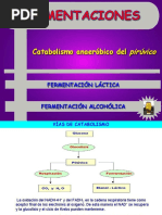 fermentacion lactica.pdf