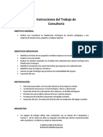 Instrucciones Trabajo Consultoria