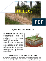 Formación y propiedades de los suelos