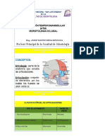 Clase ATM MORFOLOGÍA OCLUSAL PDF