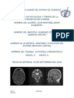 Actividad 5 Mesencefalo