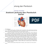 Anatomi Jantung Dan Pembuluh Dara1