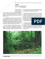 MagiaBosques PDF