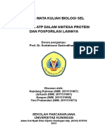 ATP dalam Sintesa Protein dan Fosforilasi