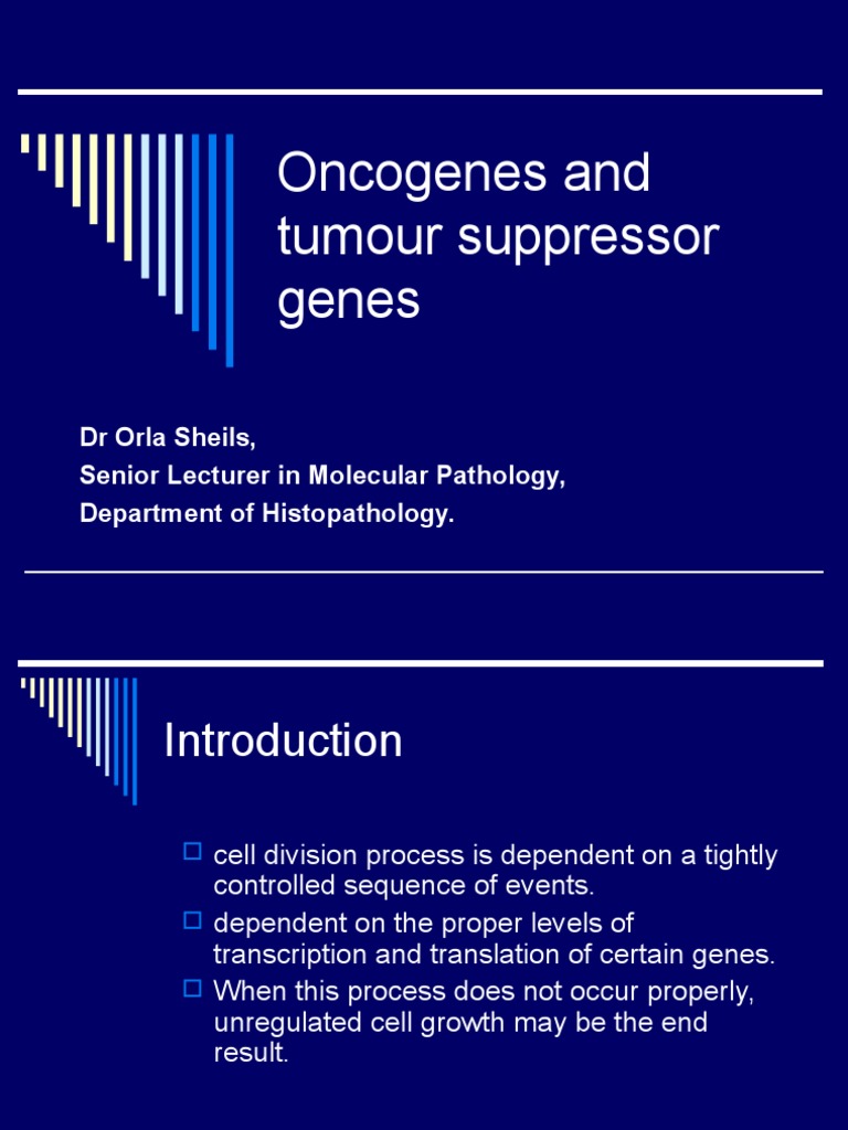 Oncogenes and Tumor Suppressors Explained | PDF | Mitogen Activated ...