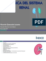 BIOFÍSICA DEL SISTEMA RENAL Chidooo