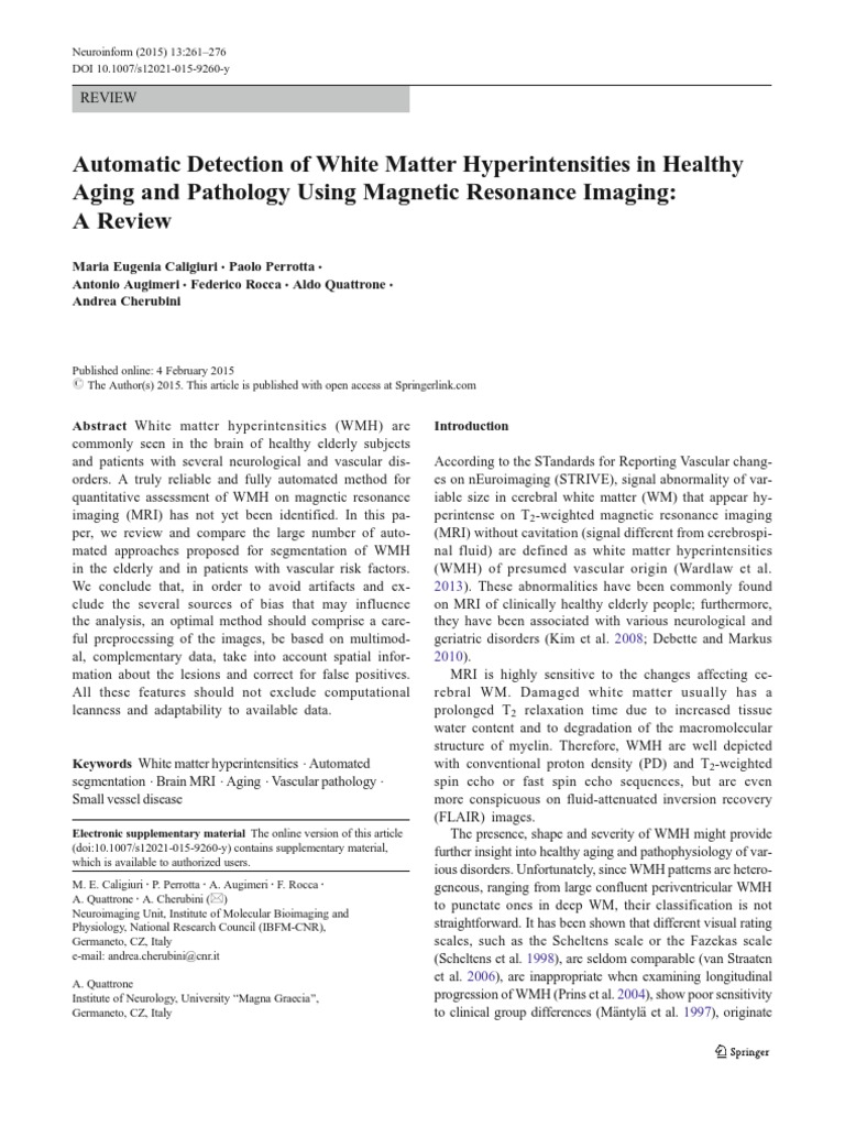 Automatic Detection of White Matter Hyperintensities PDF | PDF | Image ...