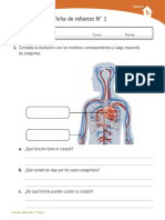 Naturaleza Unidad 3 PDF