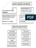 Caracteristici Generale a Raspunderii Contraventionale